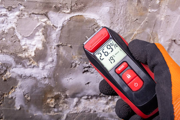Best Home Mold Removal  in Calverton Park, MO
