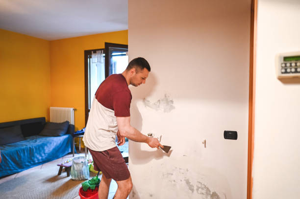 Best Water Damage Restoration  in Calverton Park, MO